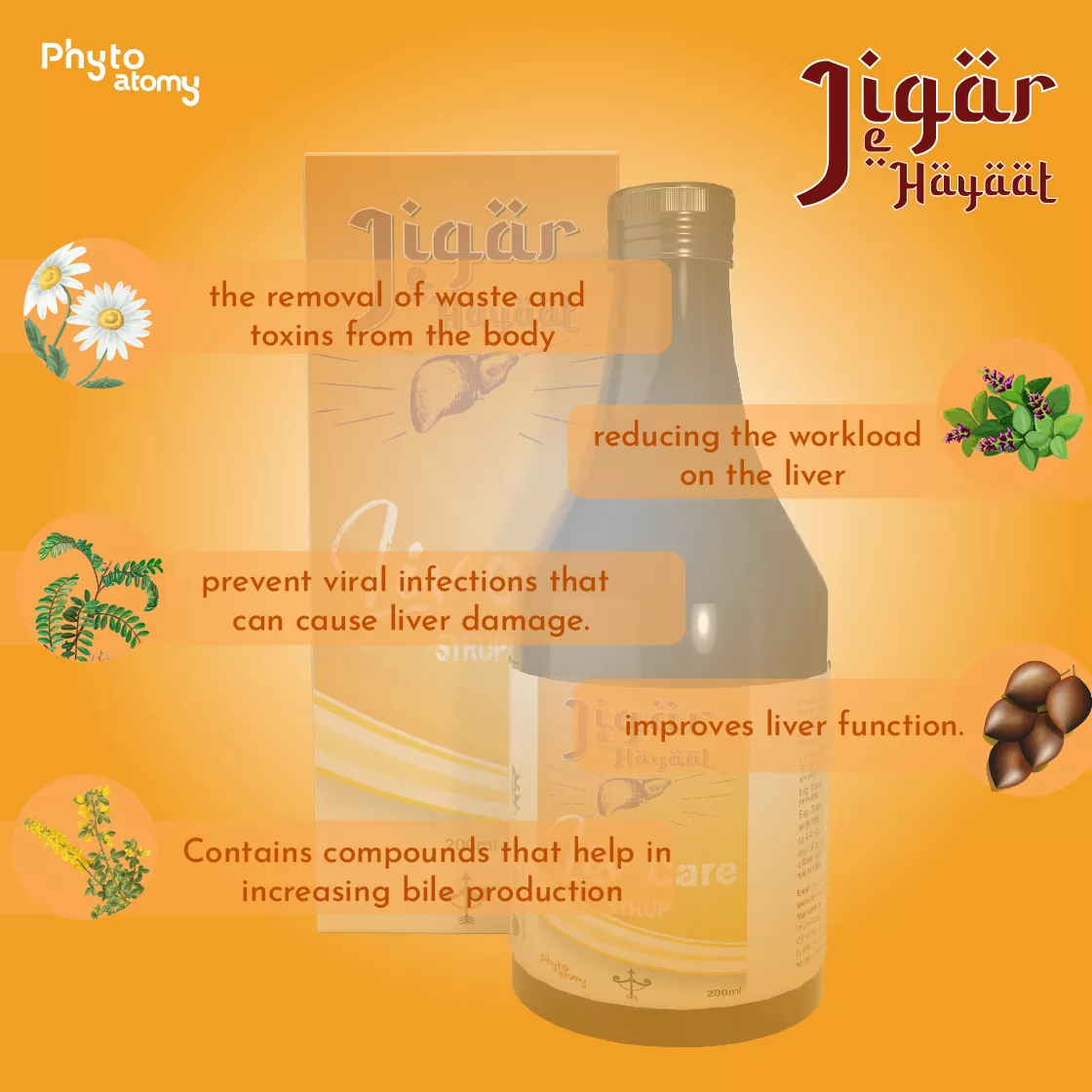 Jigar-e-Hayaat Syrup 200 ml (HS00653)